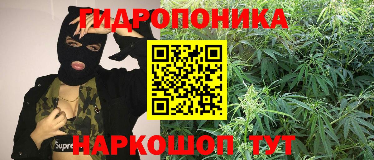 Шишки марихуана конопля  Каннабис ГИДРОПОН  Бошки марихуана SATIVA & INDICA  Полевской  Вход с VPN  МАРИХУАНА ГИДРОПОН 